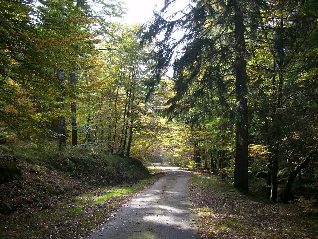 Chalet Du Montal Dun-les-Places Camera foto